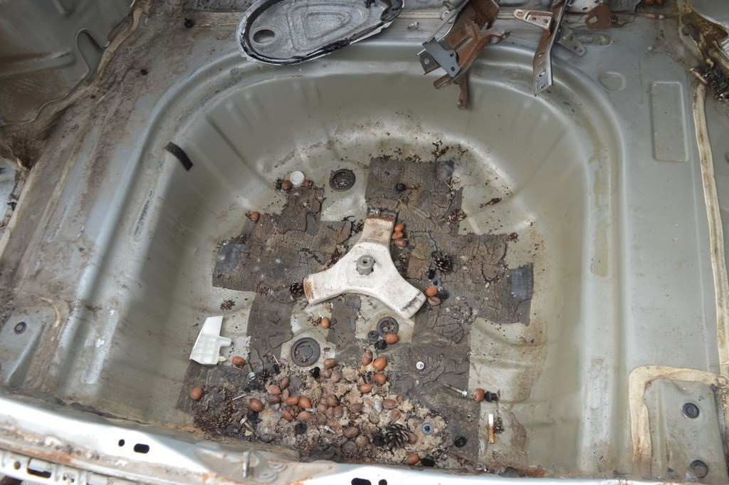 Корыто багажника Toyota Camry v50 12-14 usa\euro (03)