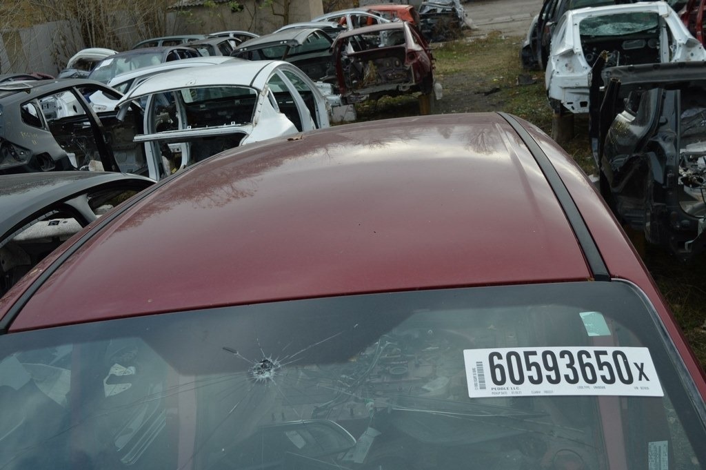 Крыша (металл) Ford Escape MK3 13- без люка красн.цвет RR (07)