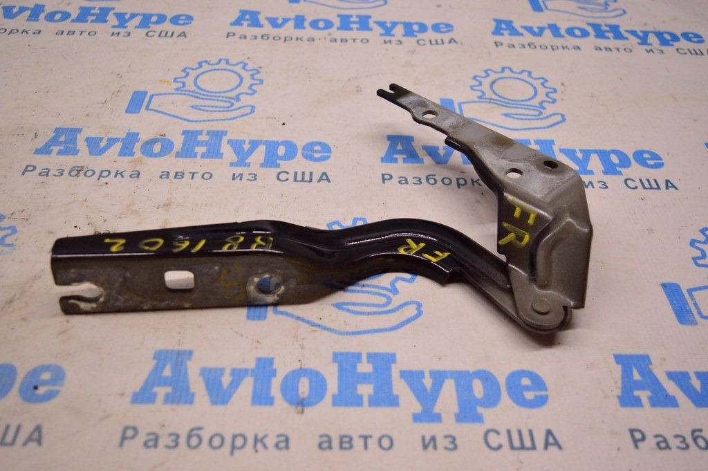 Петля капота правая VW Passat b8 USA (02)