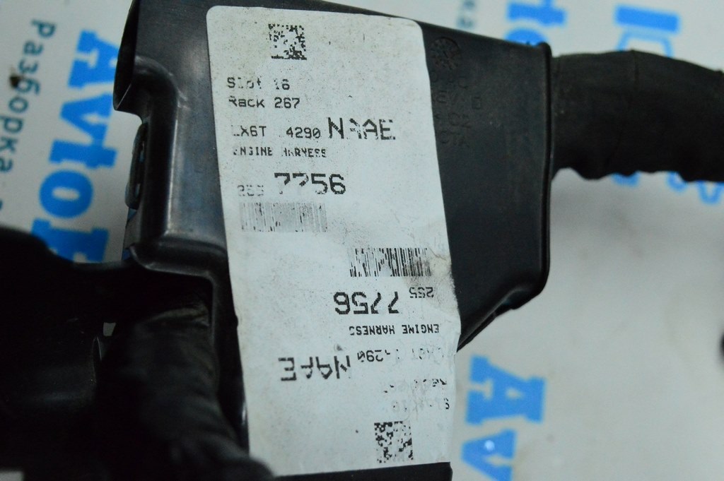 Проводка двигателя вторая Ford Escape MK4 20- (01) LX6T-15k867 — фото 4