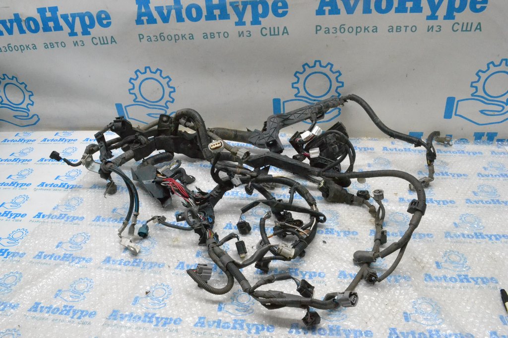Проводка моторная Toyota C-HR 18-23 (01)