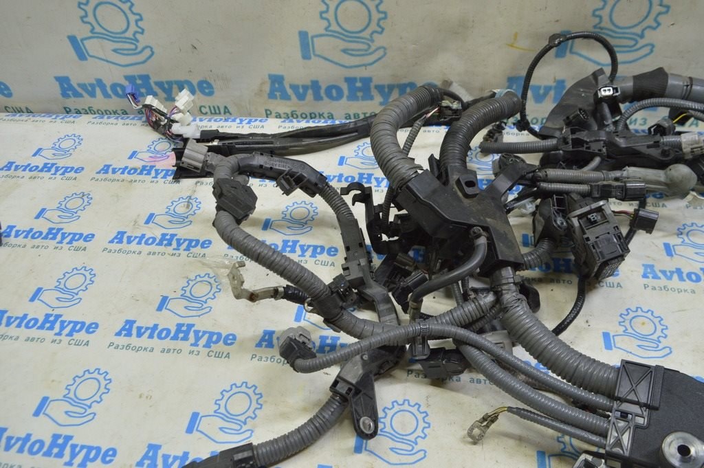 Проводка моторная Toyota Highlander 20-22 (01)