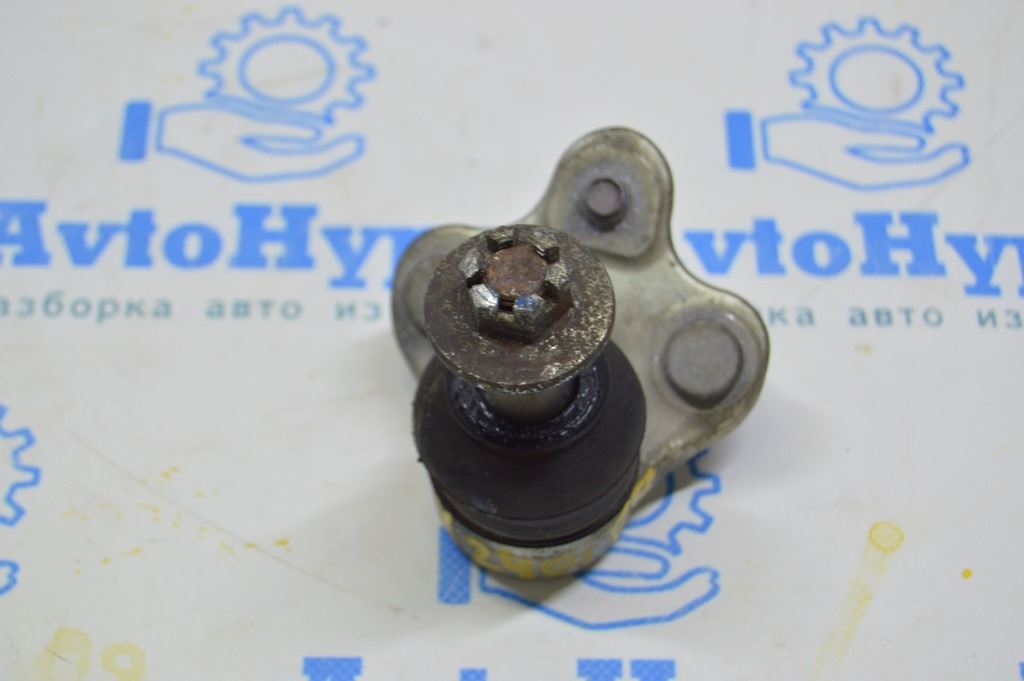 Шаровая опора правая Lexus RX 350/350h/500h 23- (01)