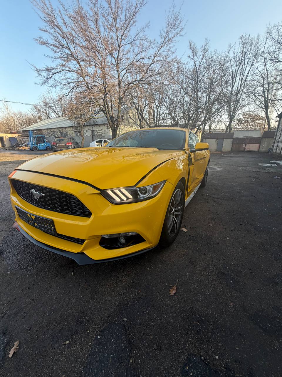 FORD Mustang 2015