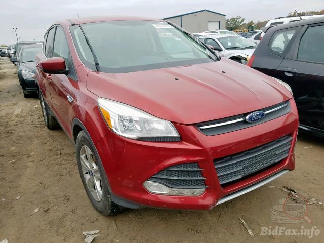 FORD Escape 2013