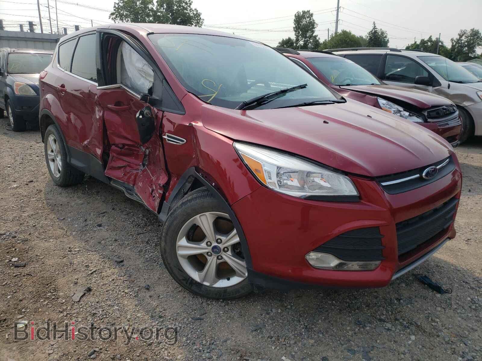 FORD Escape 2013
