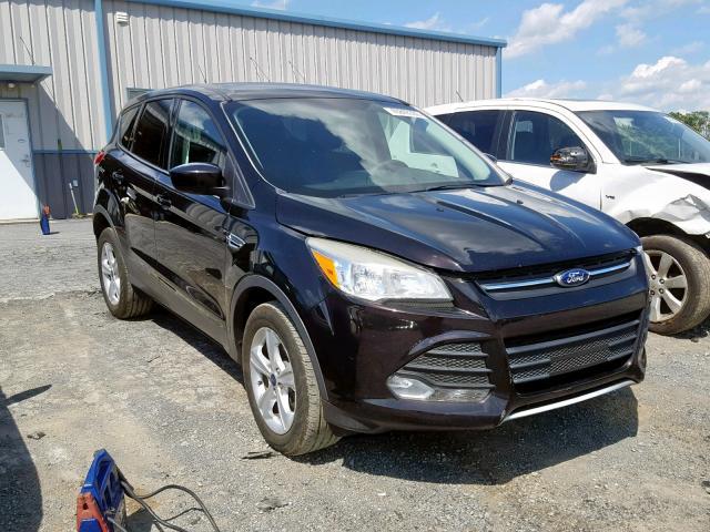 FORD Escape 2013