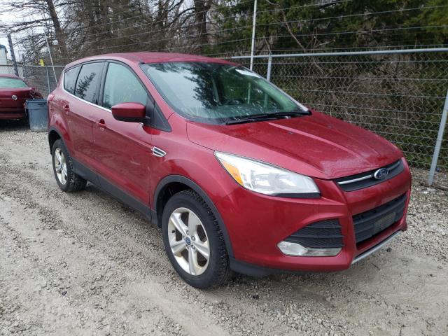 FORD Escape 2013
