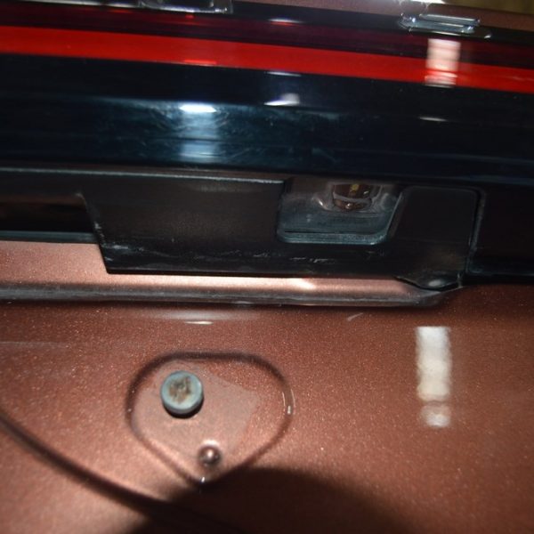 Подсветка номера прав Lexus RX 350/350h/500h 23- 81204-0E030