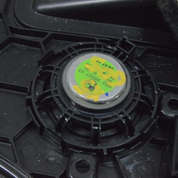 Динамик колени водителя BMW X5 G05 19-23 HiFi 65 13 9151127