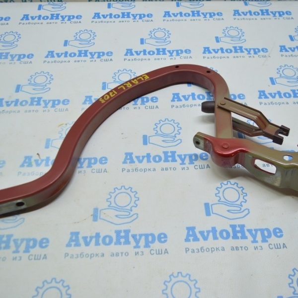 Петля крышки багажника левая HYUNDAI ELANTRA AD 17- (03) красная 79210-F2000