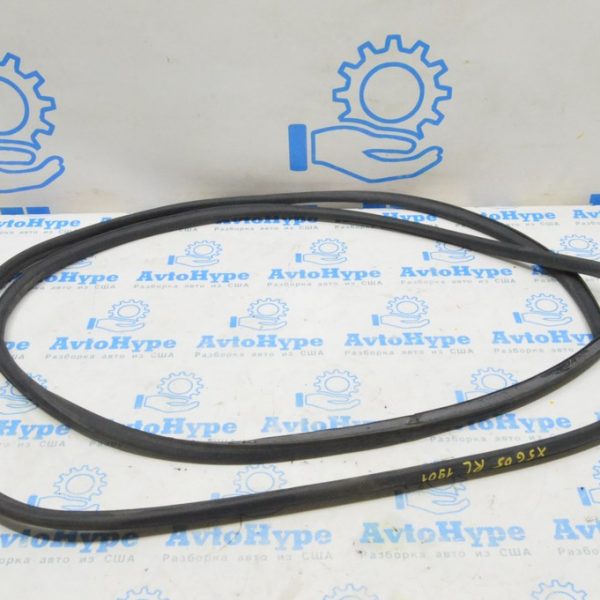 Уплотнитель двери зад лев BMW X5 G05 19-24 51 76 9447076