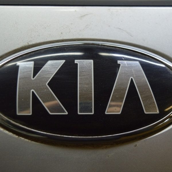 Эмблемма переднего бампера Kia Optima 16-