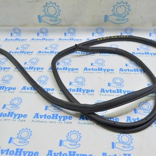 Уплотнитель дверного проема задний левый Nissan Leaf 18- 76923-5SF0A