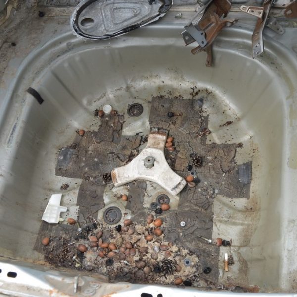 Корыто багажника Toyota Camry v50 12-14 usaeuro (03) 58311-06151