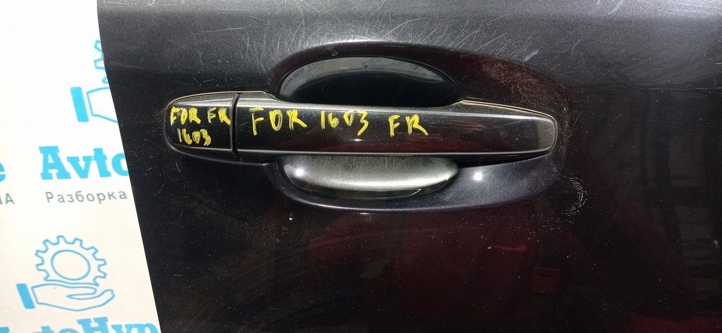 ДИМА-ФОТКАЛ-IMG_20211003_112514-16