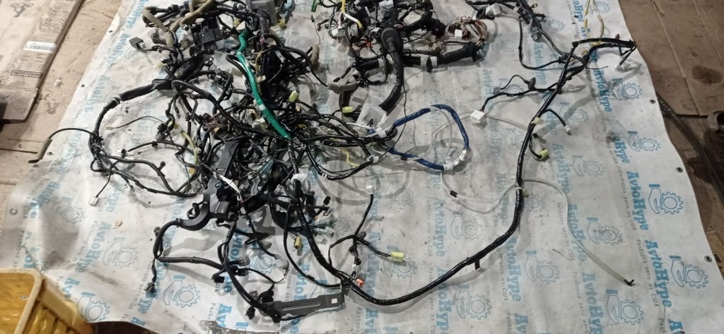 ДИМА-ФОТКАЛIMG_20211007_175950-193