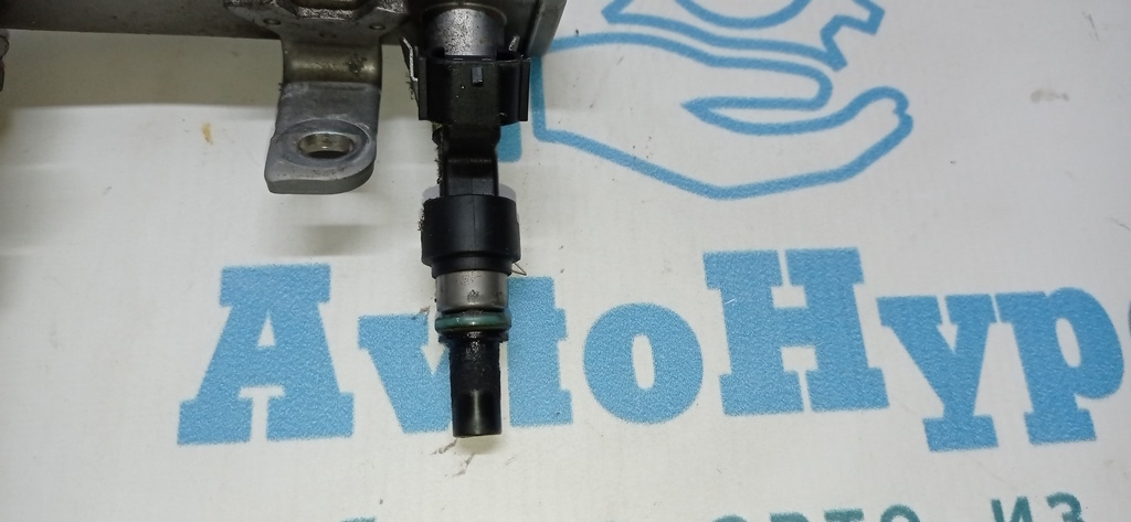 Дима-фIMG_20211027_182117-218