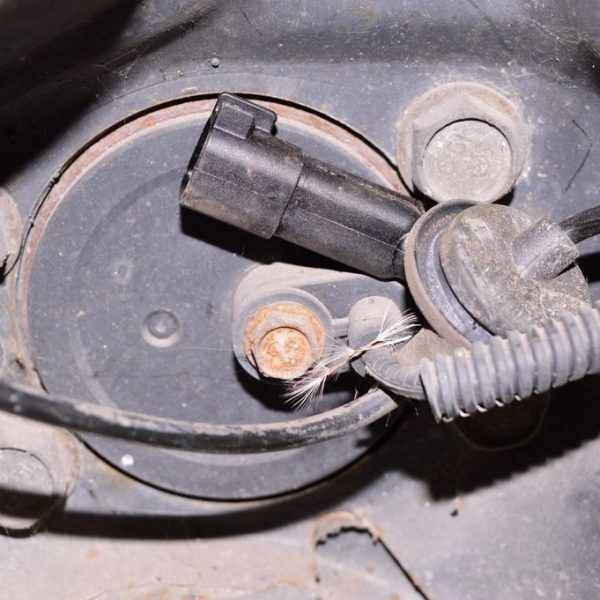 Датчик ABS зад лев Jeep Compass 11-16 (01) 5105063AC