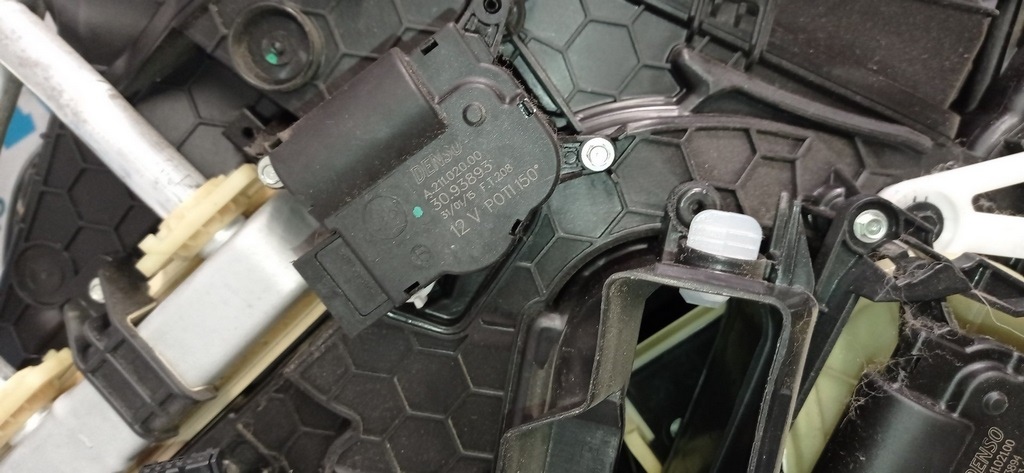 дима-фоткал-IMG_20211007_084543-52