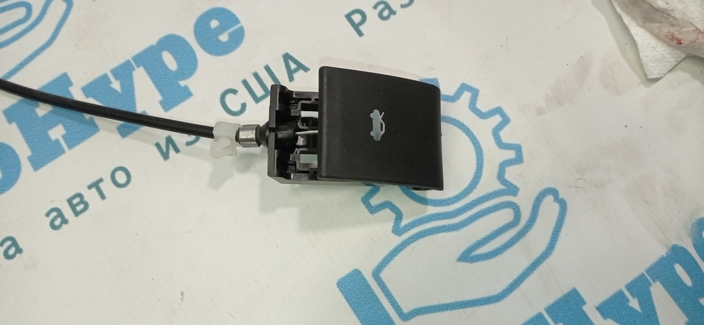 дима-фоткал-IMG_20211007_084543-74